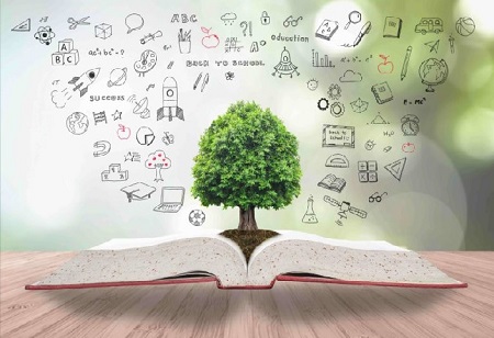 Al Falasi emphasizes MoE's commitment to Education Sustainability